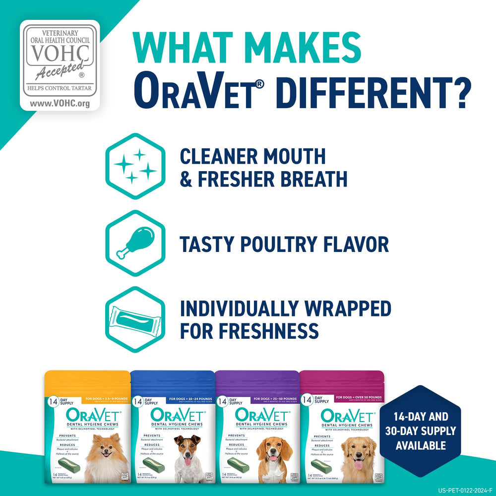 Usage quotidien OraVet: friandise savoureuse pour des dents propres.