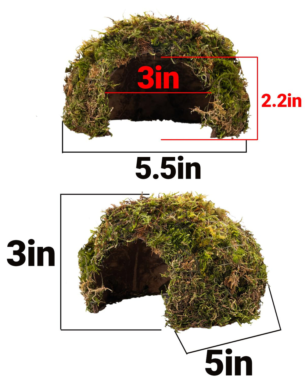 ORBIDYN accessoire terrarium complet, complément naturel pour reptiles.