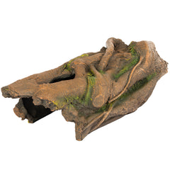 Orchid Valley log creux terrarium décor paysage naturel favorise exploration