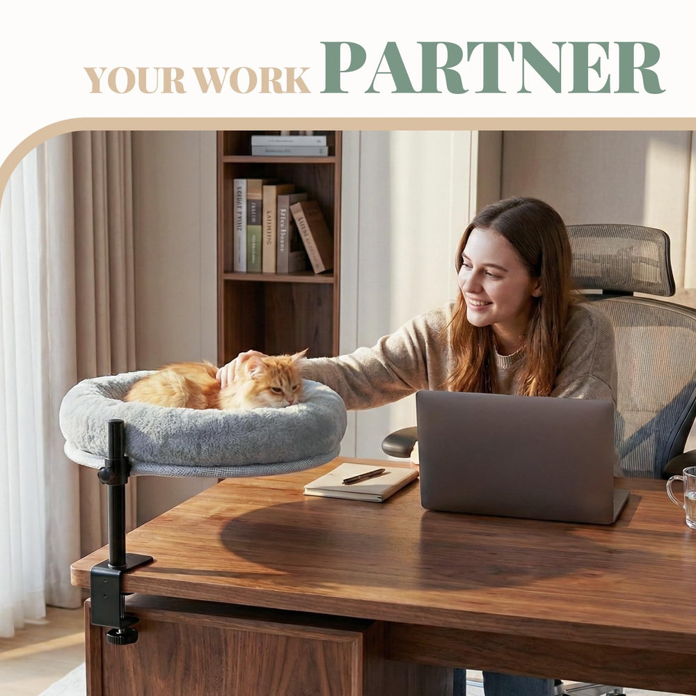 Ordora installation sans outils sur votre bureau, pratique.