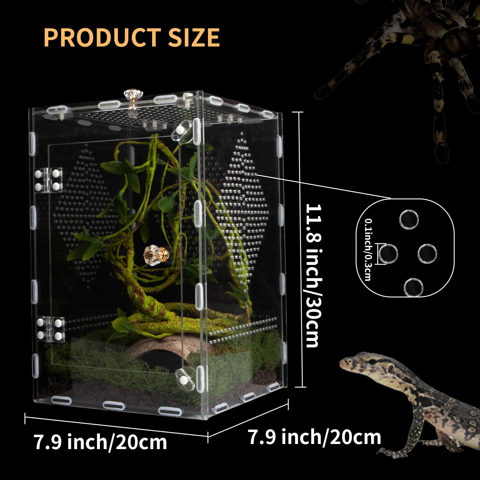 Orekemo terrarium reptile assemblage sans outils pour débutants.