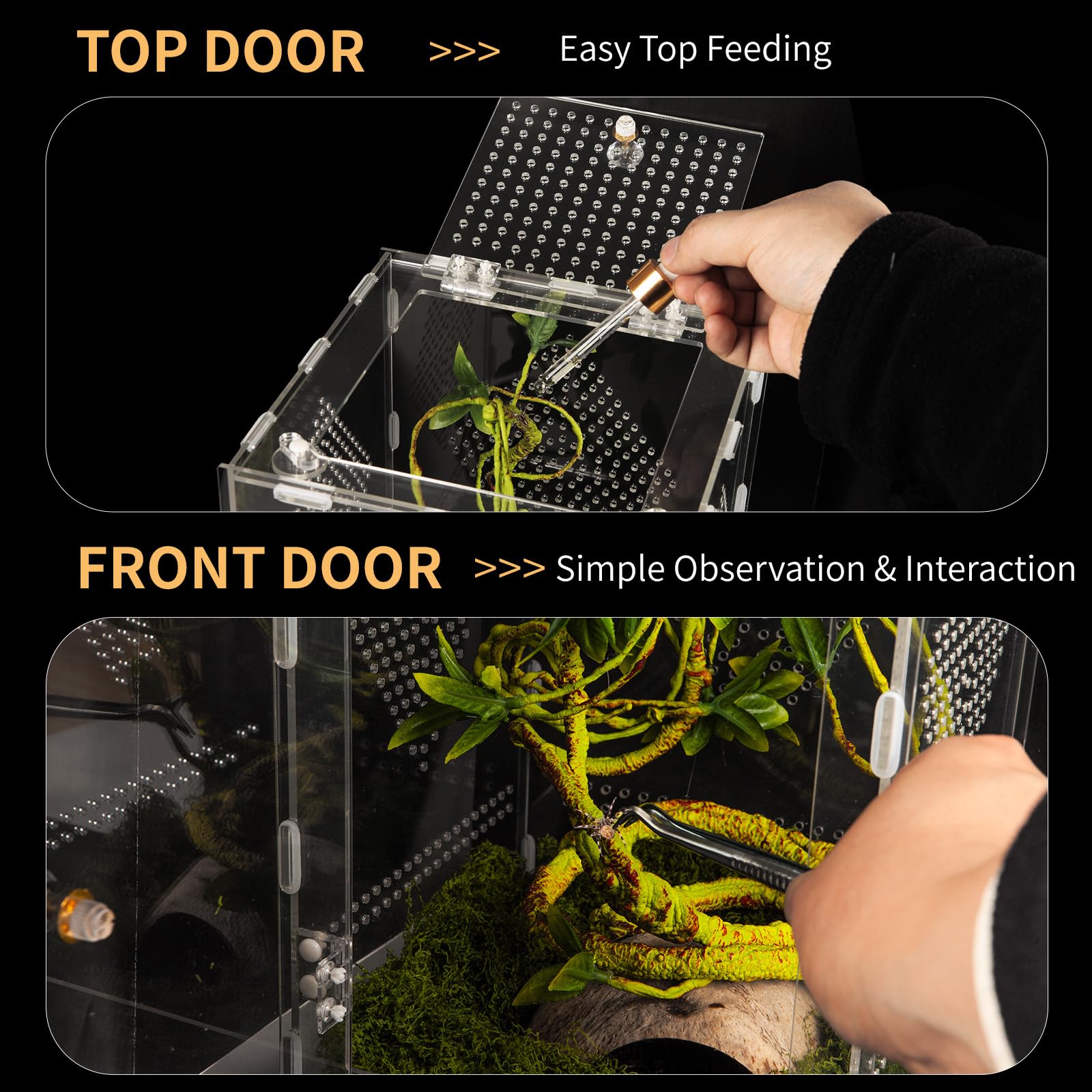 Orekemo terrarium reptile ouverture frontale et haute facilitant l'entretien.