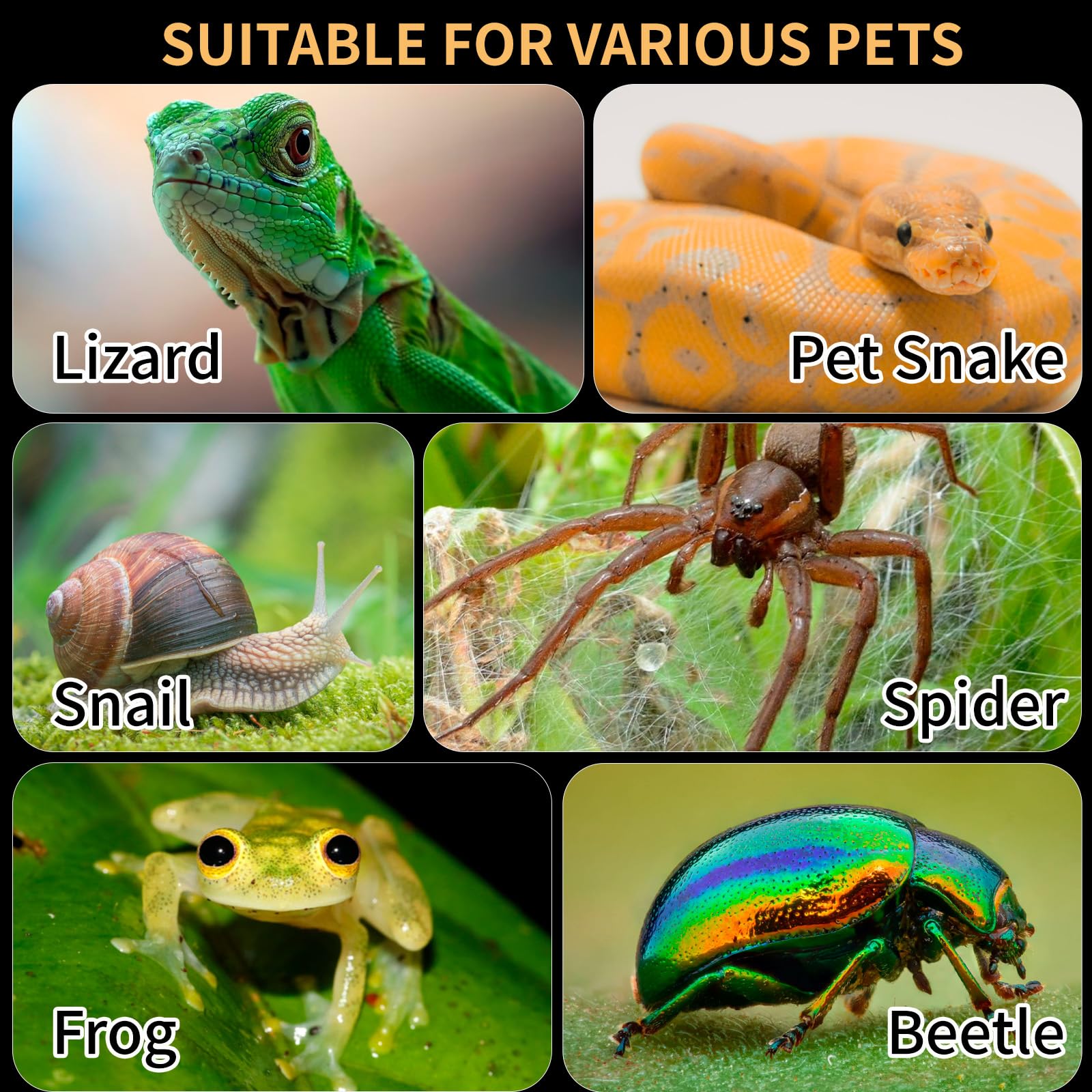 Orekemo terrarium reptile ventilation précise 0,1 pouce pour une circulation d'air adaptée.