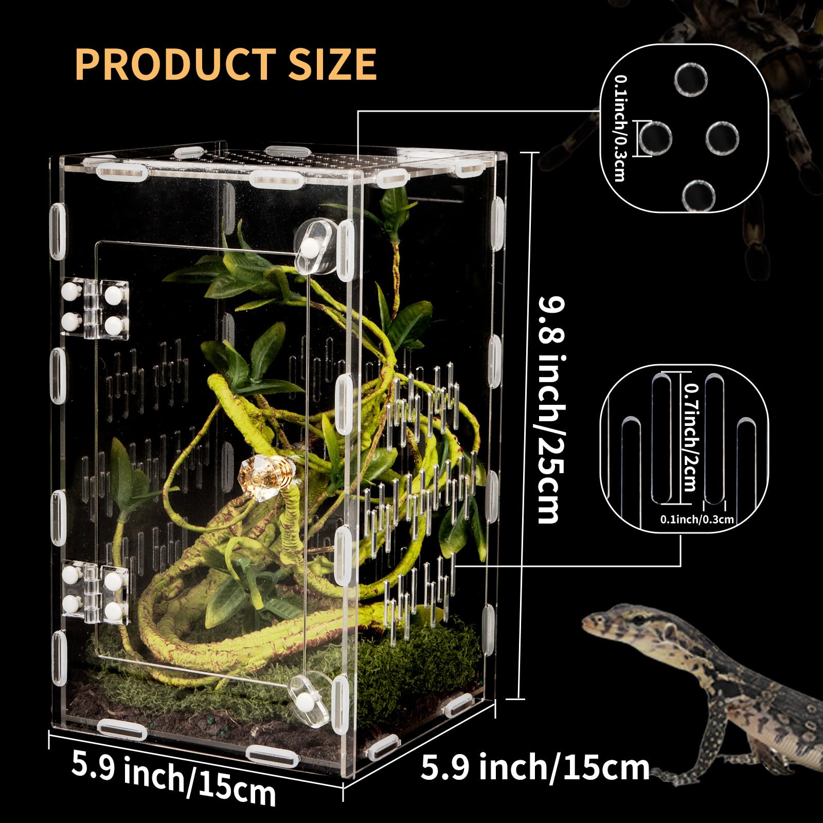 Orekemo terrarium: assemblage sans outils pour installation rapide