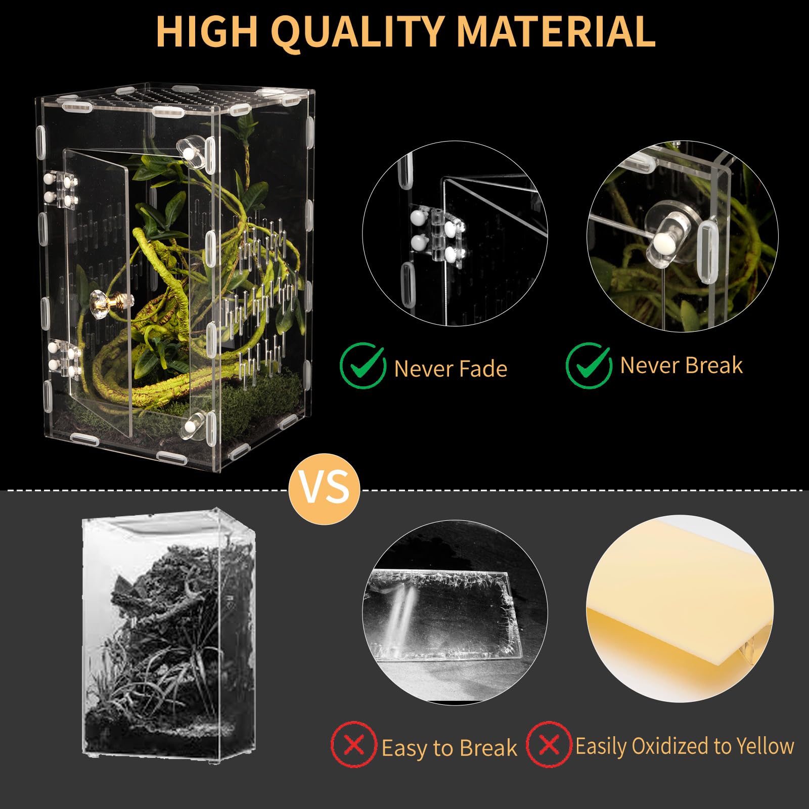 Orekemo terrarium: clarté élevée pour mettre en valeur les détails