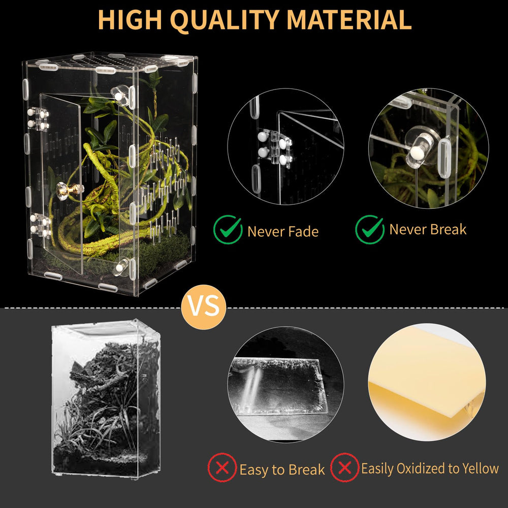Orekemo terrarium: clarté élevée pour mettre en valeur les détails