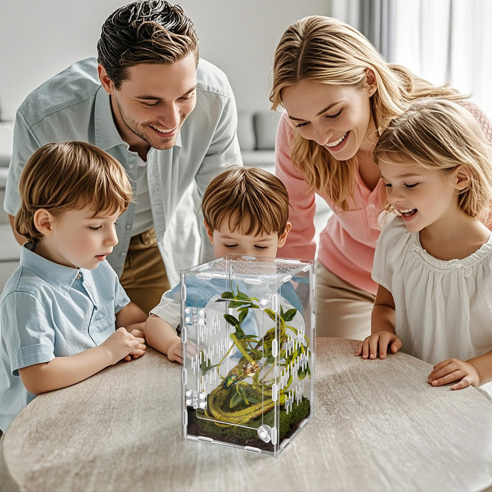 Orekemo terrarium: habitat multi-especes adapté à diverses espèces