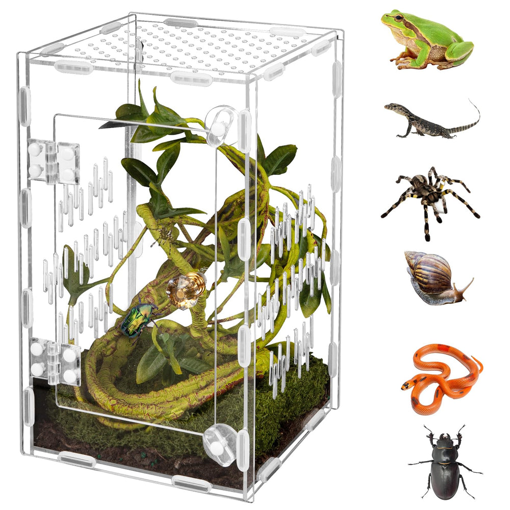 Orekemo terrarium Reptile: vue 360° claire pour observer les animaux sans obstruction