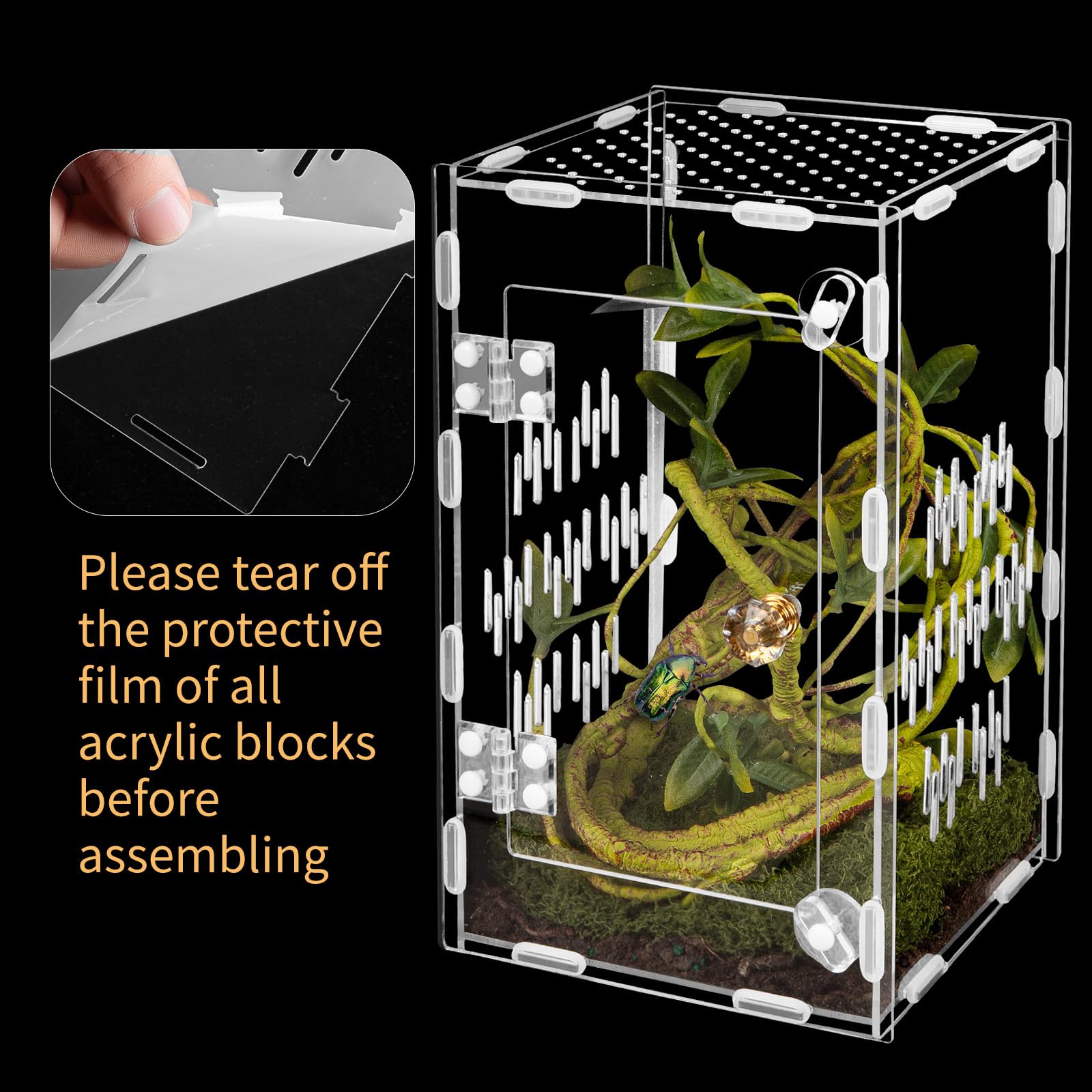 Orekemo terrarium: visibilité 360° idéale pour tarentules et geckos