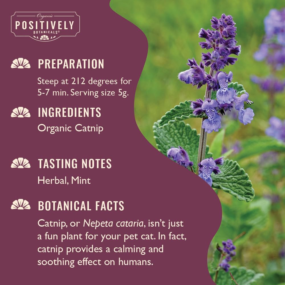 Organic Positively Tea Company herbe a chat - infusions legeres pour une pause detente.