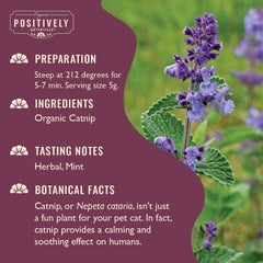 Organic Positively Tea Company herbe a chat - infusions legeres pour une pause detente.