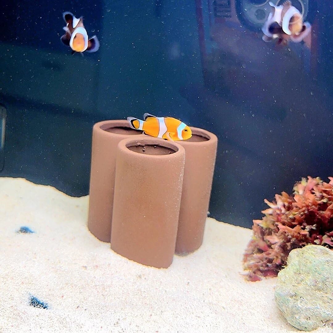 OrgMemory decor ceramique pour aquarium, offre petit abri et zone d exploration