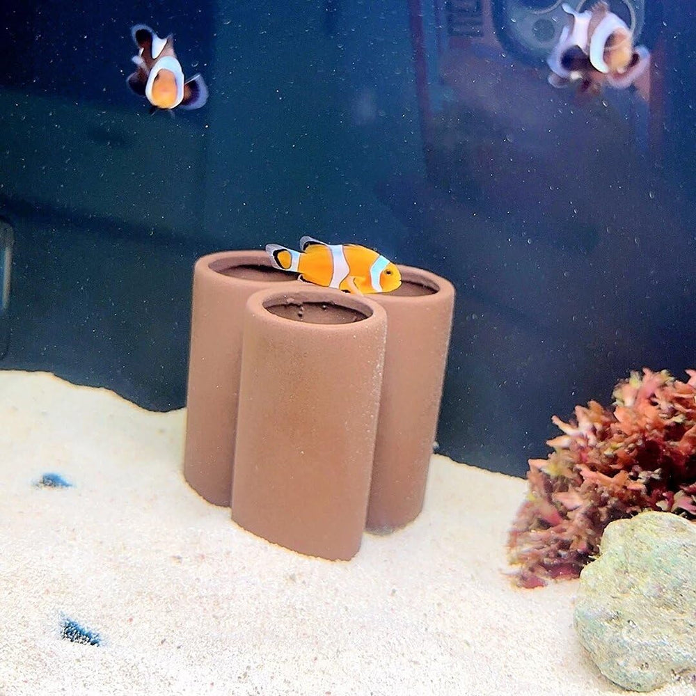 OrgMemory decor ceramique pour aquarium, offre petit abri et zone d exploration