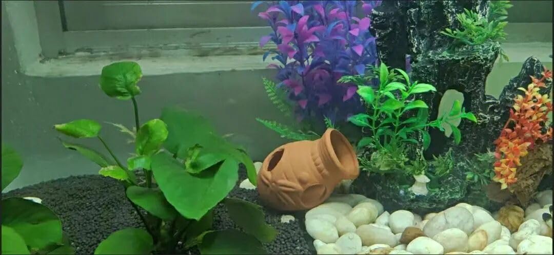 OrgMemory refuges ceramique aquarium: abris pour reptiles et petits mammiferes