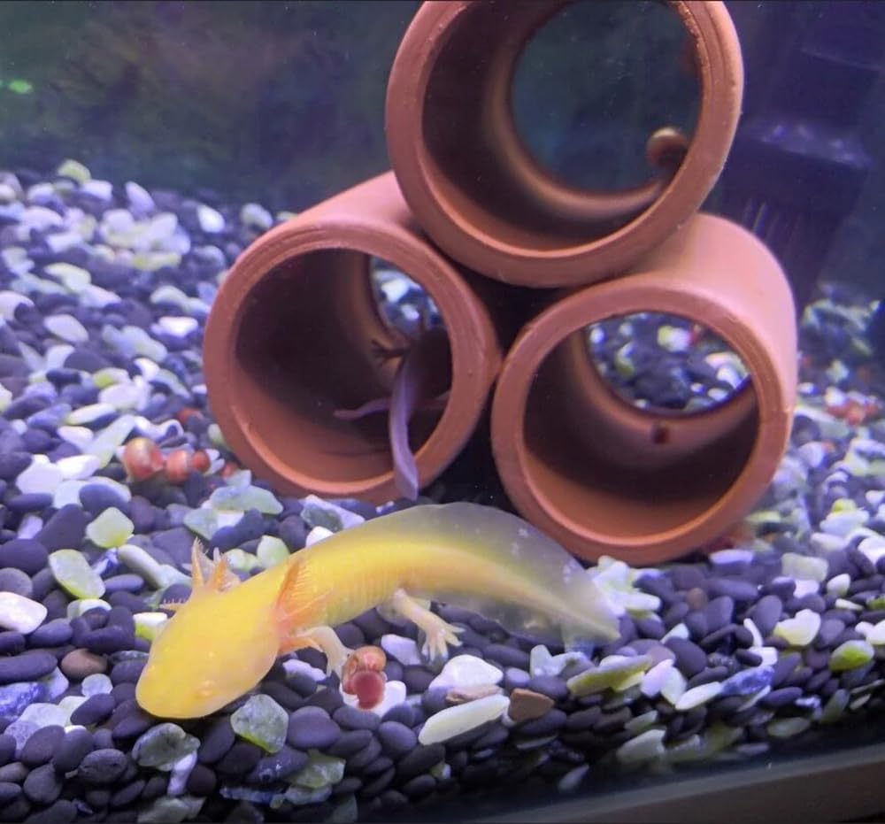 OrgMemory structure ceramique pour refuges et nitrification dans l aquarium