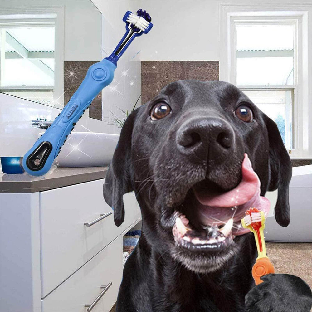 Brosse Orgrimmar adaptée chiens et chats pour tous les museaux.