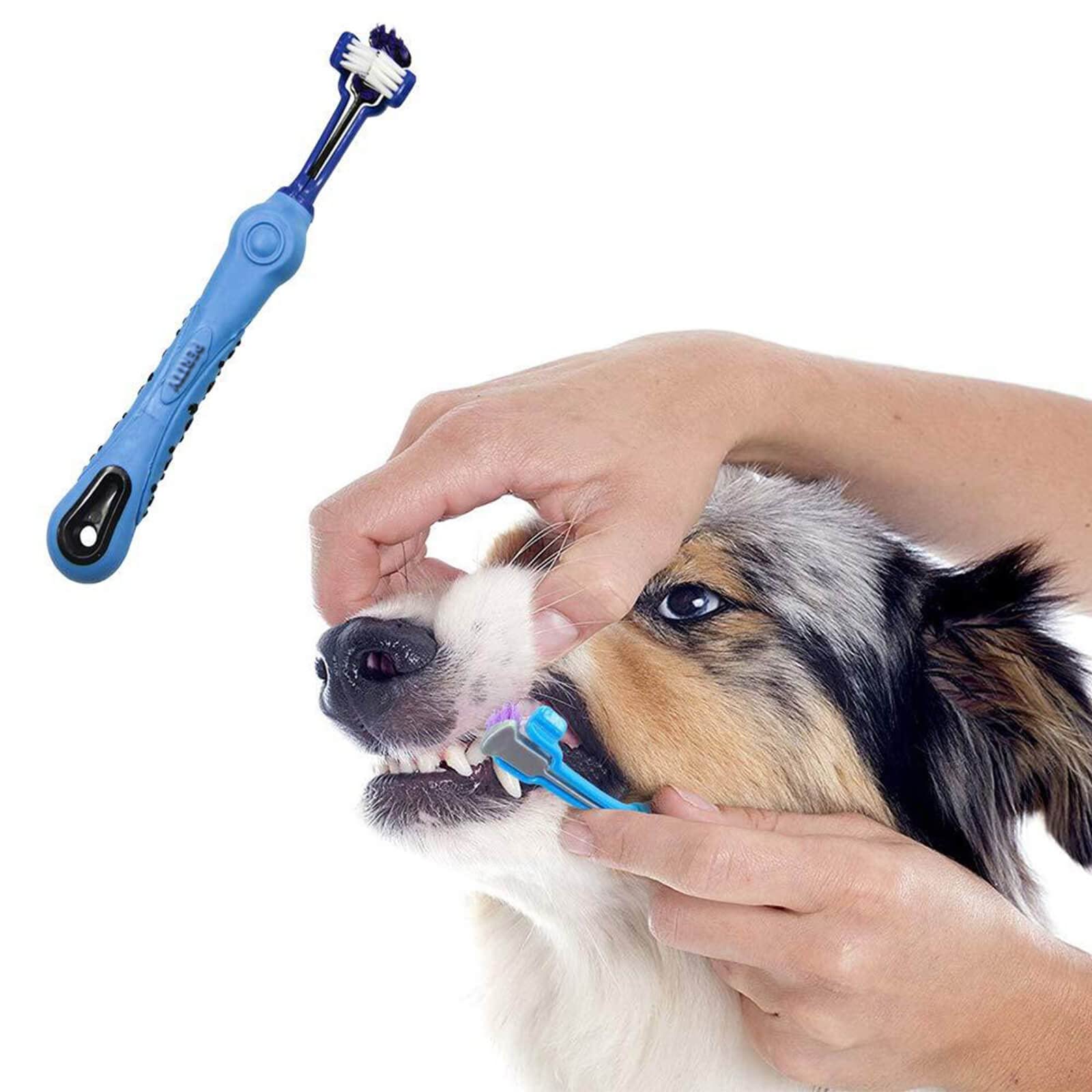 Pour chiens et chats, brosse Orgrimmar triple-face, nettoyage en douceur.