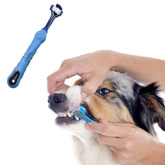 Pour chiens et chats, brosse Orgrimmar triple-face, nettoyage en douceur.