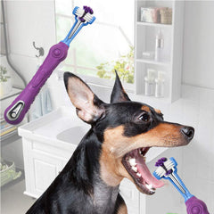 Brosse Orgrimmar triple-face pour chien blanc, outil dhygiène dentaire pratique.