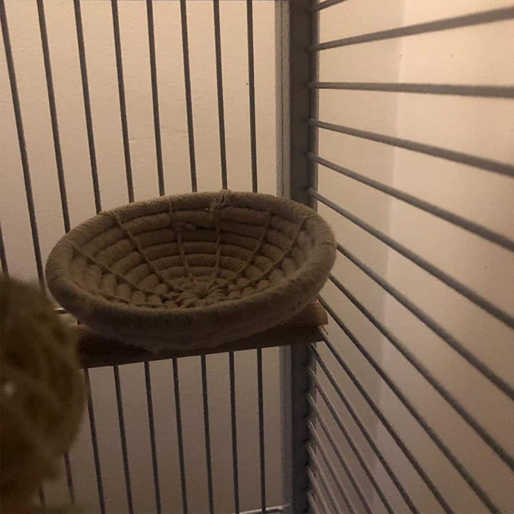 Idéal pour petits perroquets et oiseaux de compagnie avec Orgrimmar.