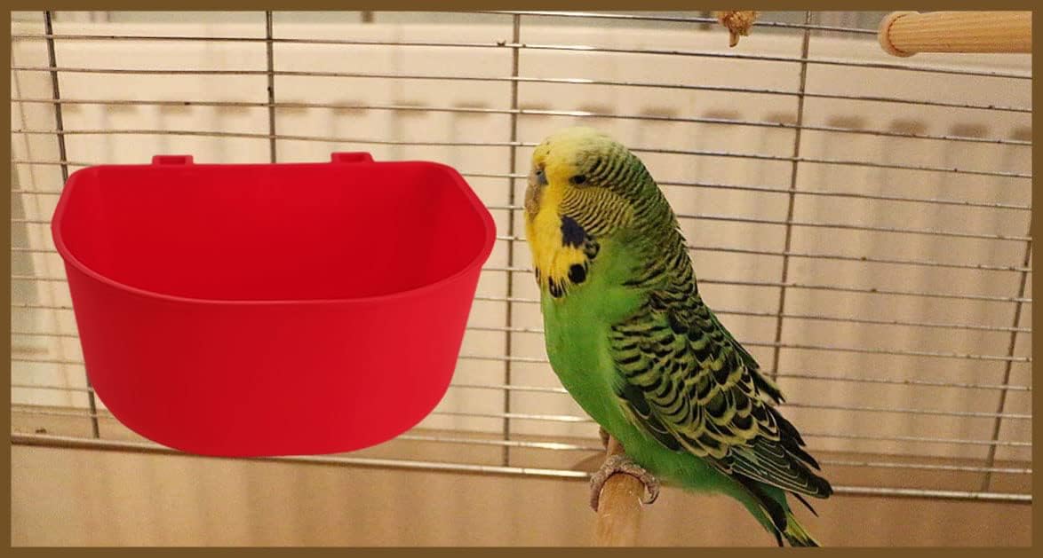 Abreuvoir ORIBUKI pour petits animaux, usage quotidien durable.