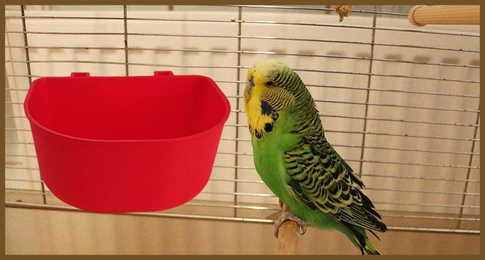 Abreuvoir ORIBUKI pour petits animaux, usage quotidien durable.