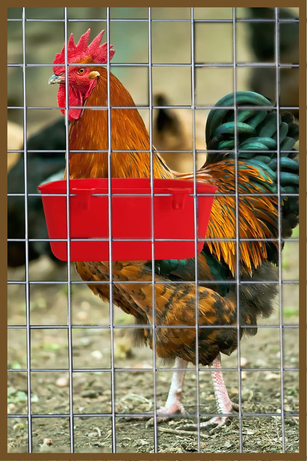 Bol ORIBUKI pour poules et volailles, solution polyvalente.