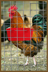 Bol ORIBUKI pour poules et volailles, solution polyvalente.