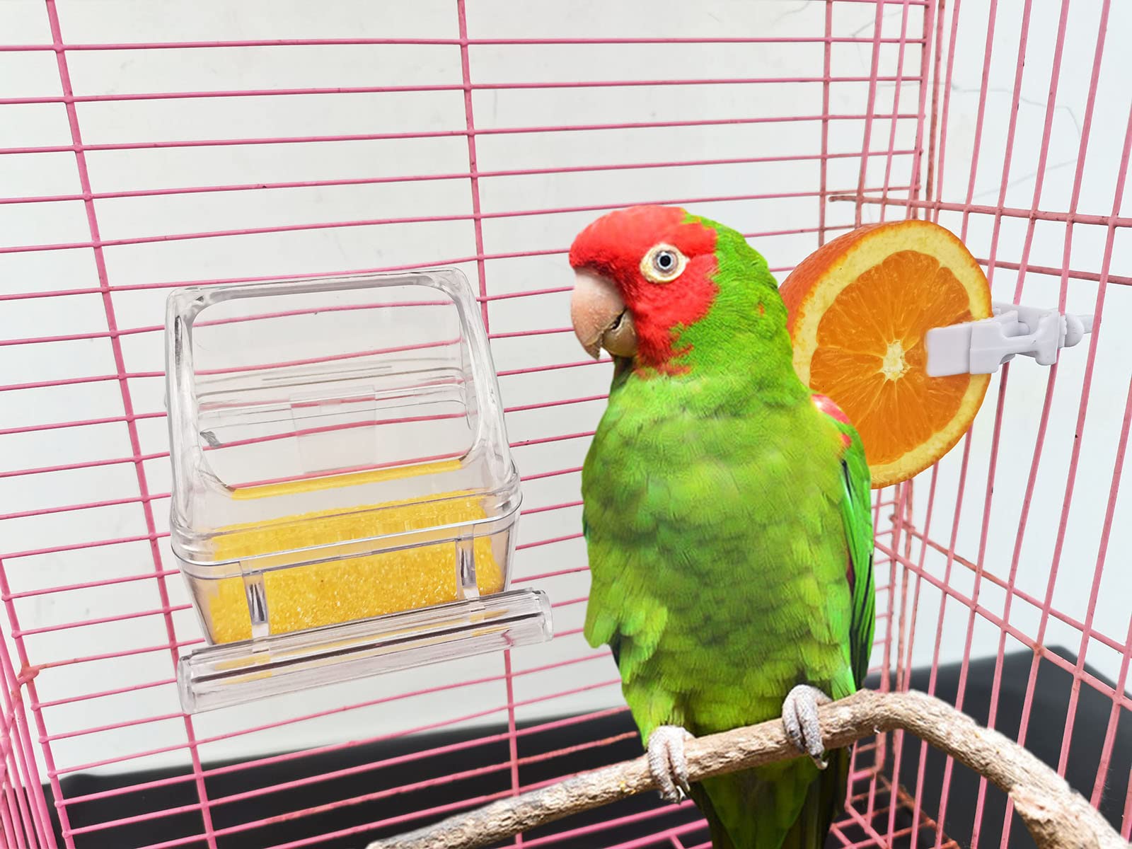 ORIBUKI ensemble accessoires oiseaux, organisation complète et réduction du désordre.