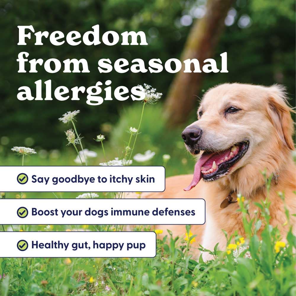 Origin Labs allergie-immunité, bouchée saveur dinde, équilibre intestinal et vitalité.