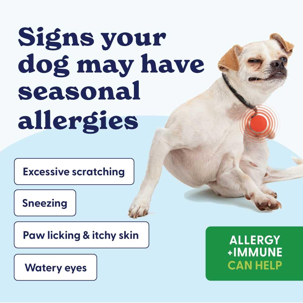 Origin Labs allergie-immunité, bouchée moelleuse, soutien peau et pelage.