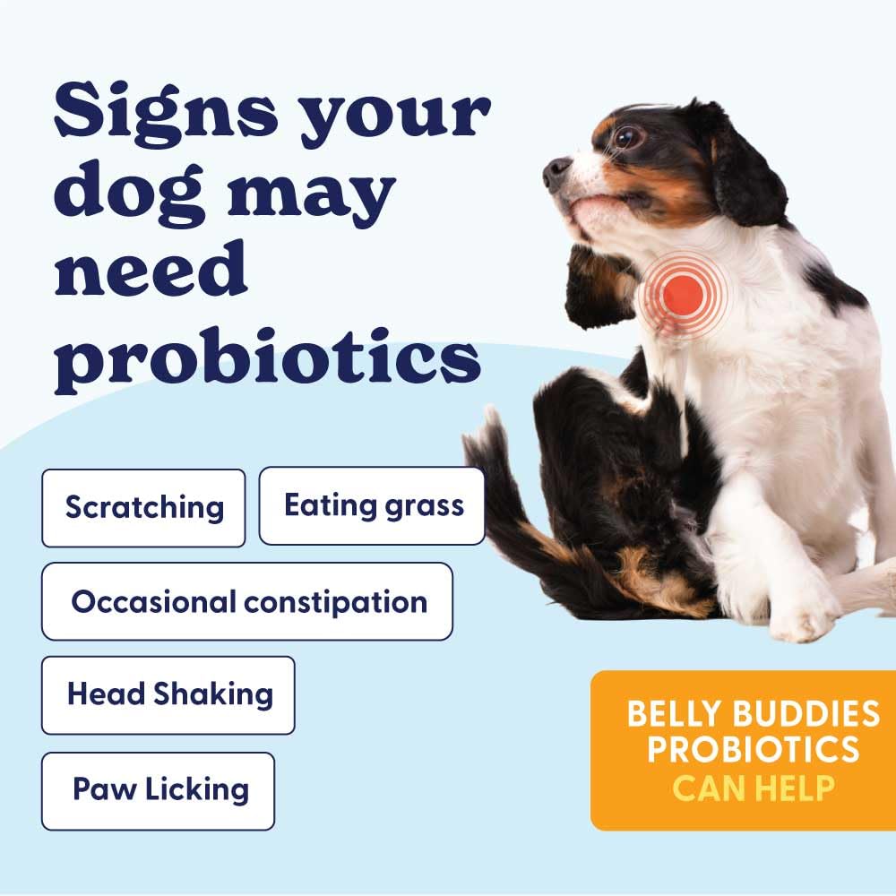 Formule vet formulée Belly Buddies, sécurité et fiabilité.