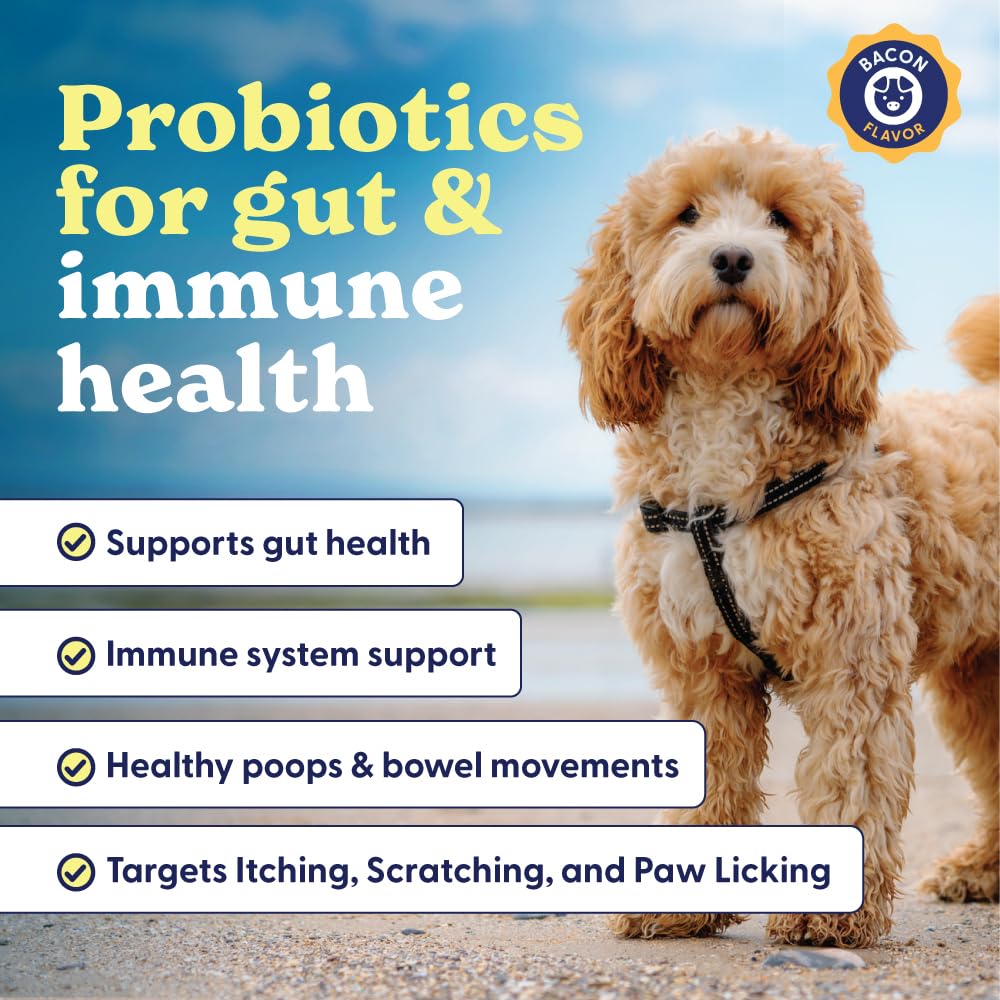 Ingrédients naturels Belly Buddies, prébiotiques et probiotiques équilibrés.