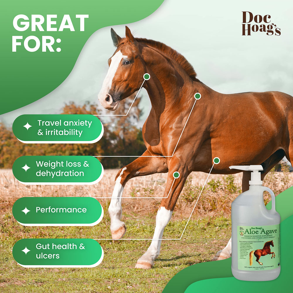 Ingrédients naturels américains, Aloe Vera et Blue Agave Inulin pour équidés.