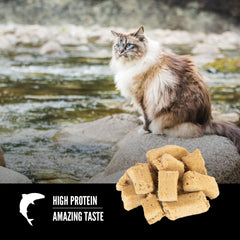 ORIJEN Six Fish, 99 pourcent d'ingrédients animaux pour une nutrition dense.