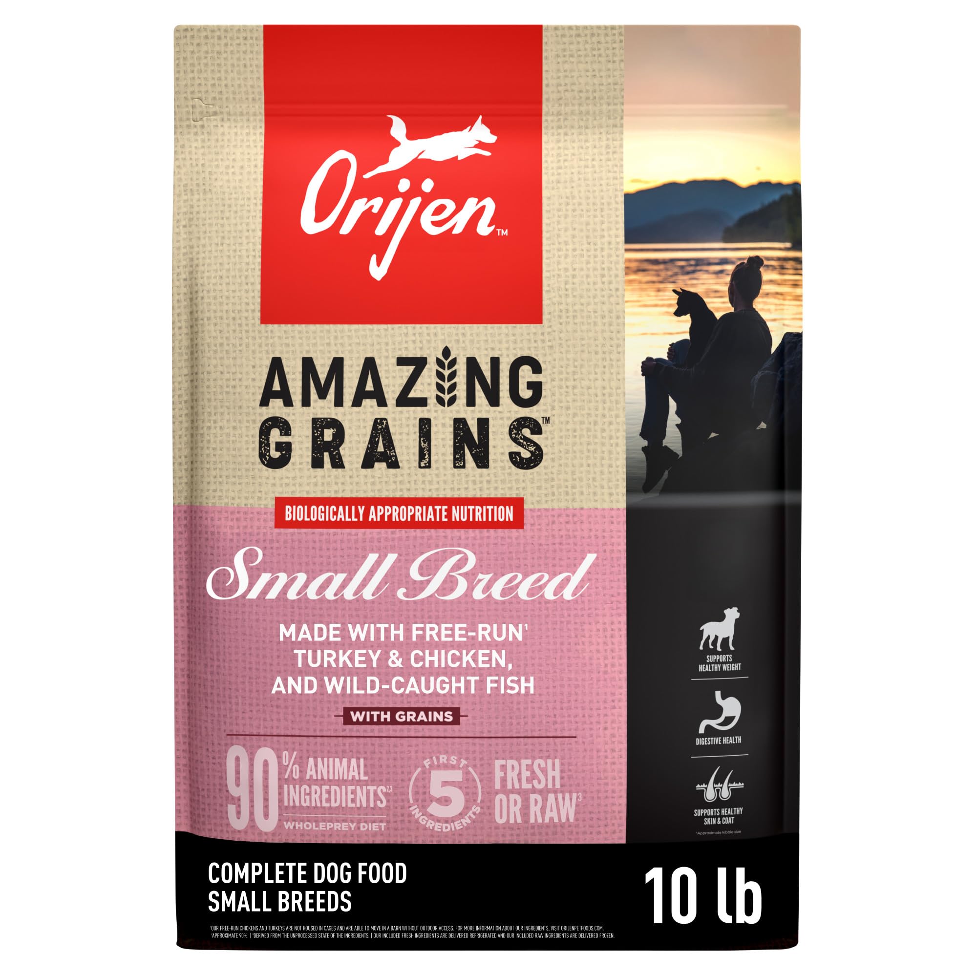 ORIJEN Amazing Grains, croquettes petit chien, soutiennent énergie et vitalité au quotidien.