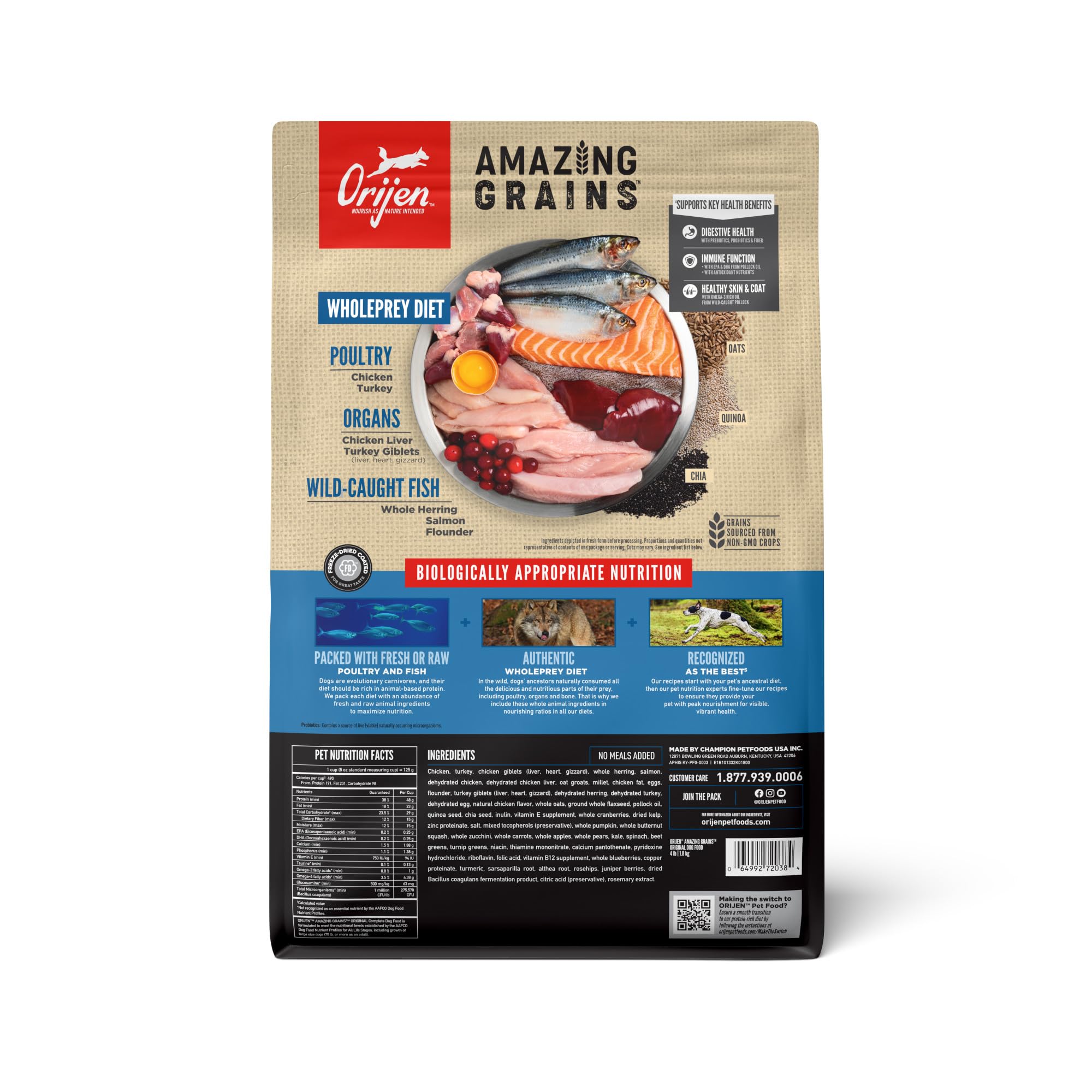 ORIJEN Amazing Grains, croquettes protéinées, soutiennent l'énergie et la satiété.