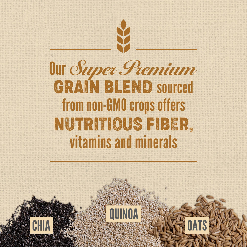 Ingrédients premium ORIJEN Amazing Grains, alimentation complète et savoureuse.