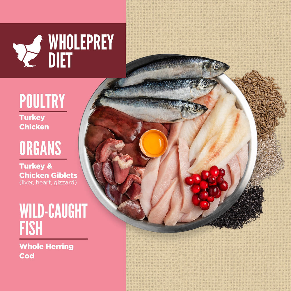 ORIJEN Amazing Grains, soutien digestion avec fibres et probiotiques pour chiens.