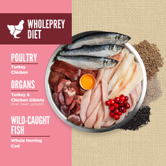 ORIJEN Amazing Grains, soutien digestion avec fibres et probiotiques pour chiens.
