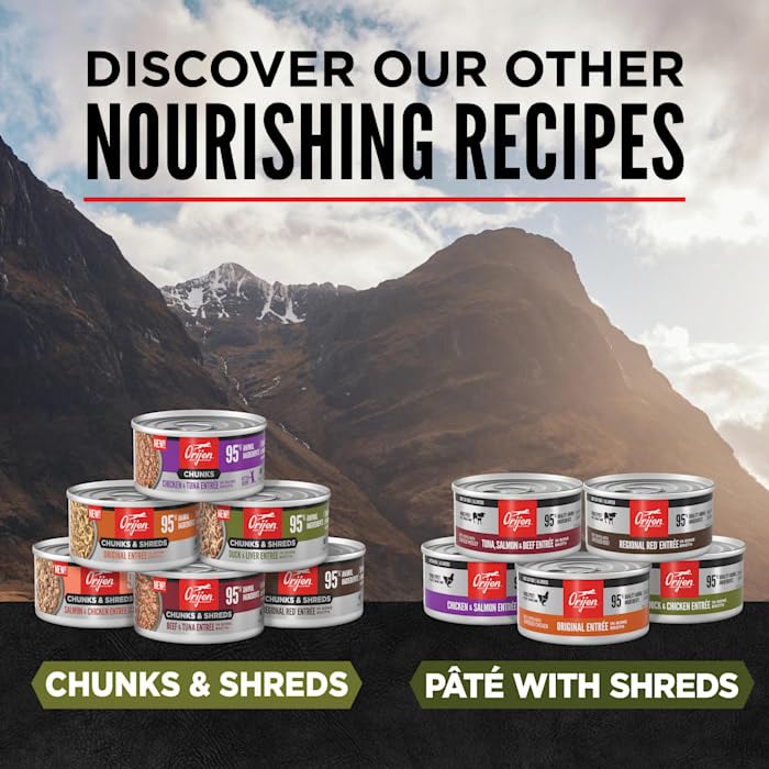 ORIJEN Chunks & Shreds protéine haute densité — texture carnée pour papilles exigeantes