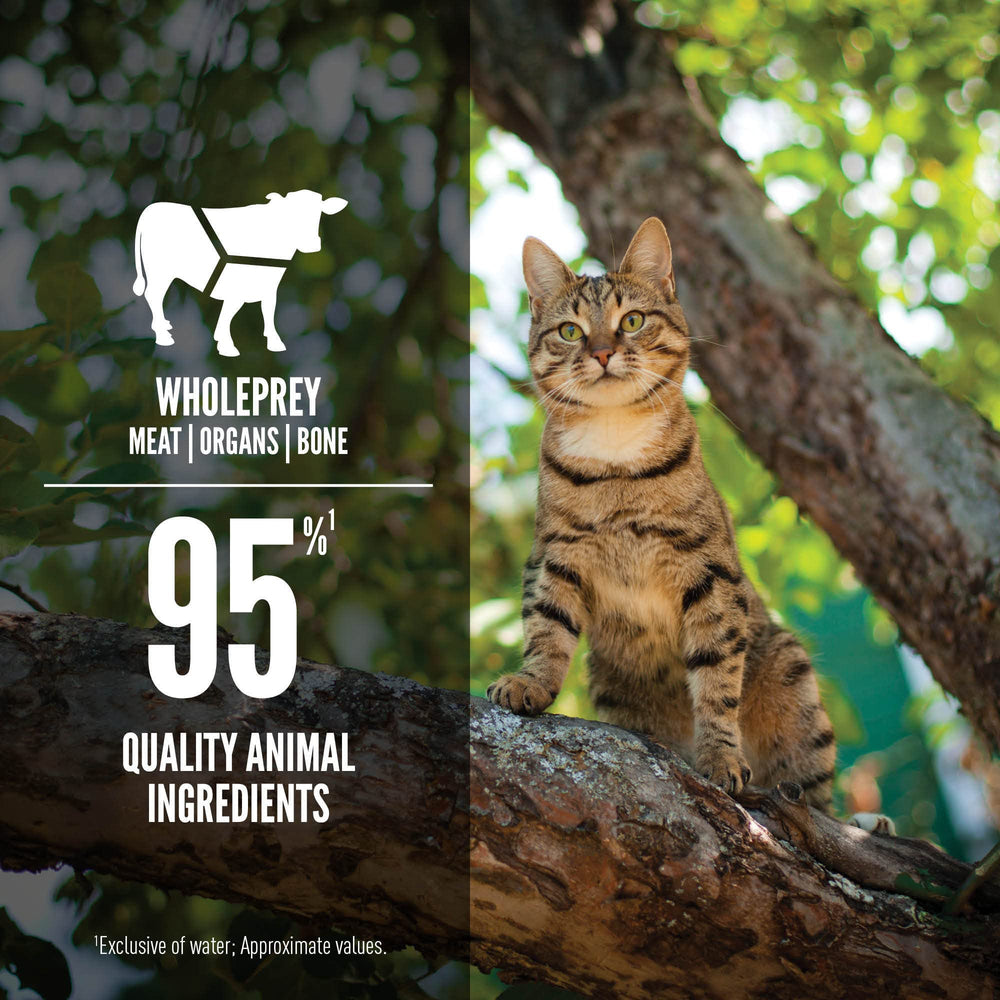 ORIJEN pâté chat boeuf et poulet, protéines complètes et goût riche