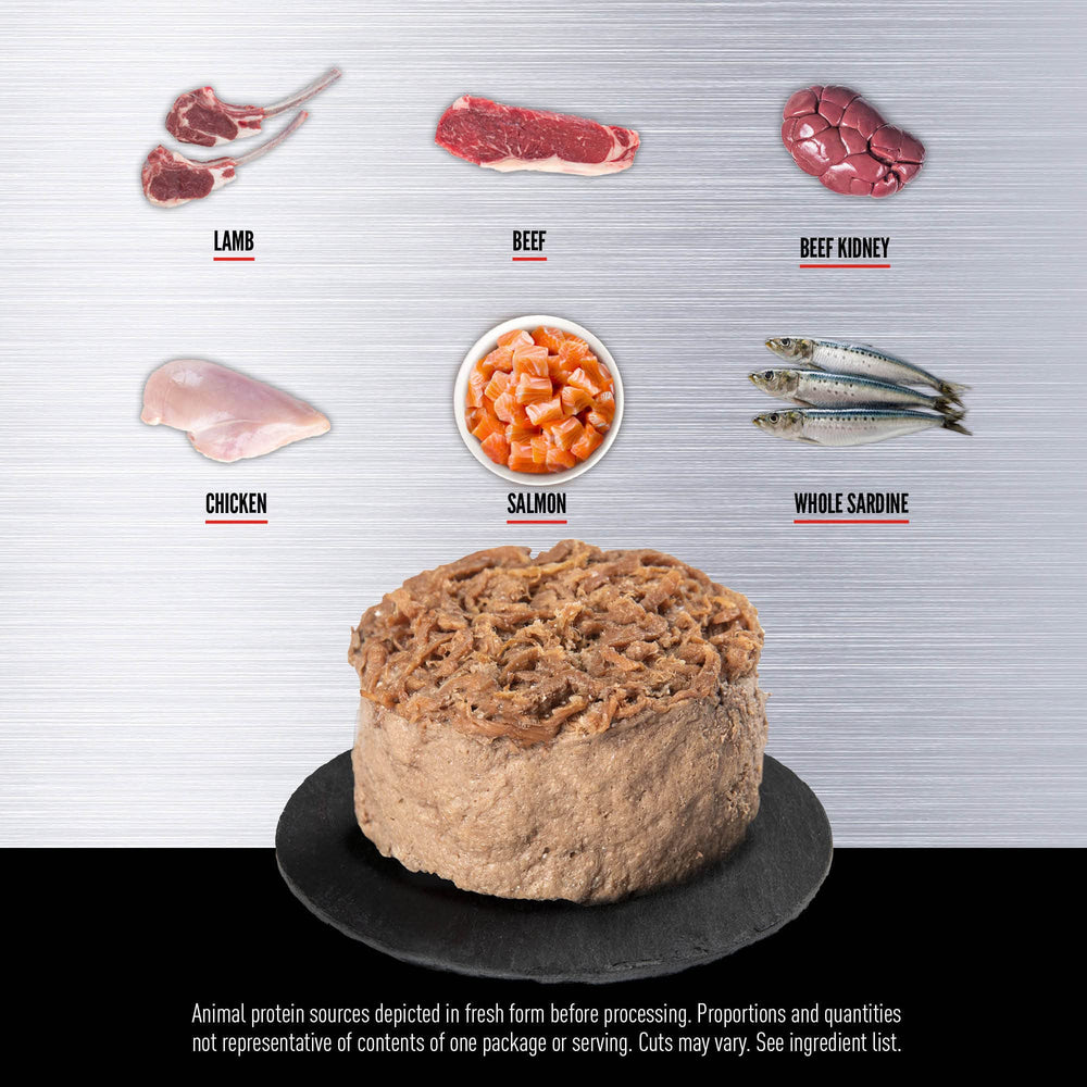 ORIJEN pâté chat poisson varié, texture onctueuse et saveur naturelle