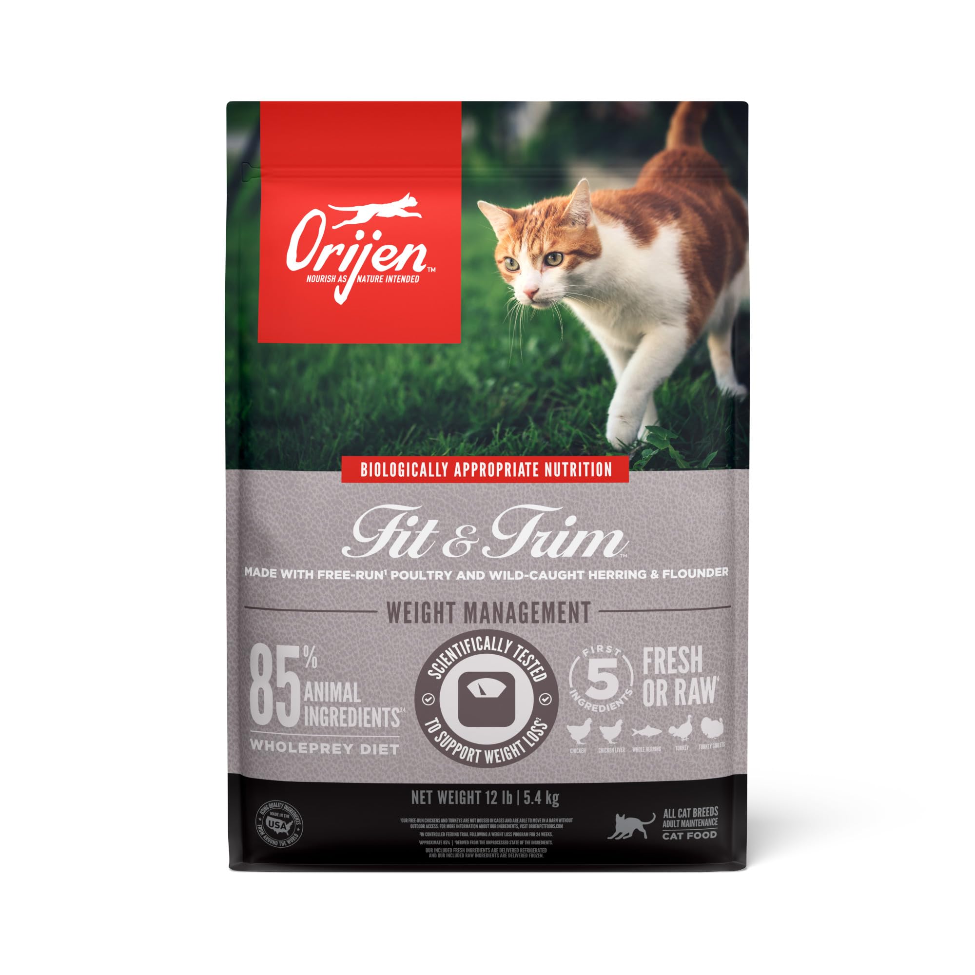 ORIJEN Fit & Trim croquettes poulet et dinde sans grain, nutrition riche et digestible.