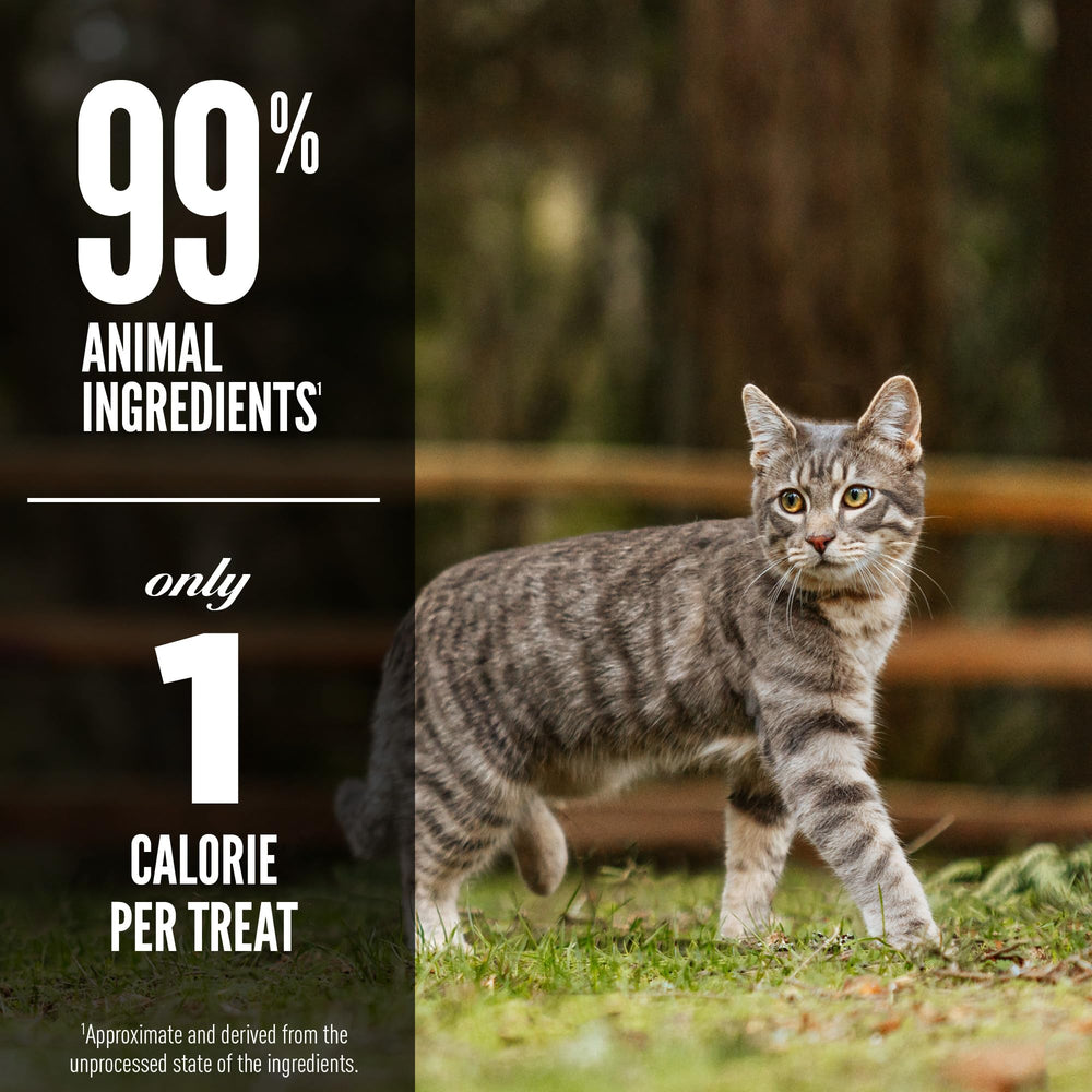 Ingrédients WholePrey ORIJEN Six Fish pour chat.