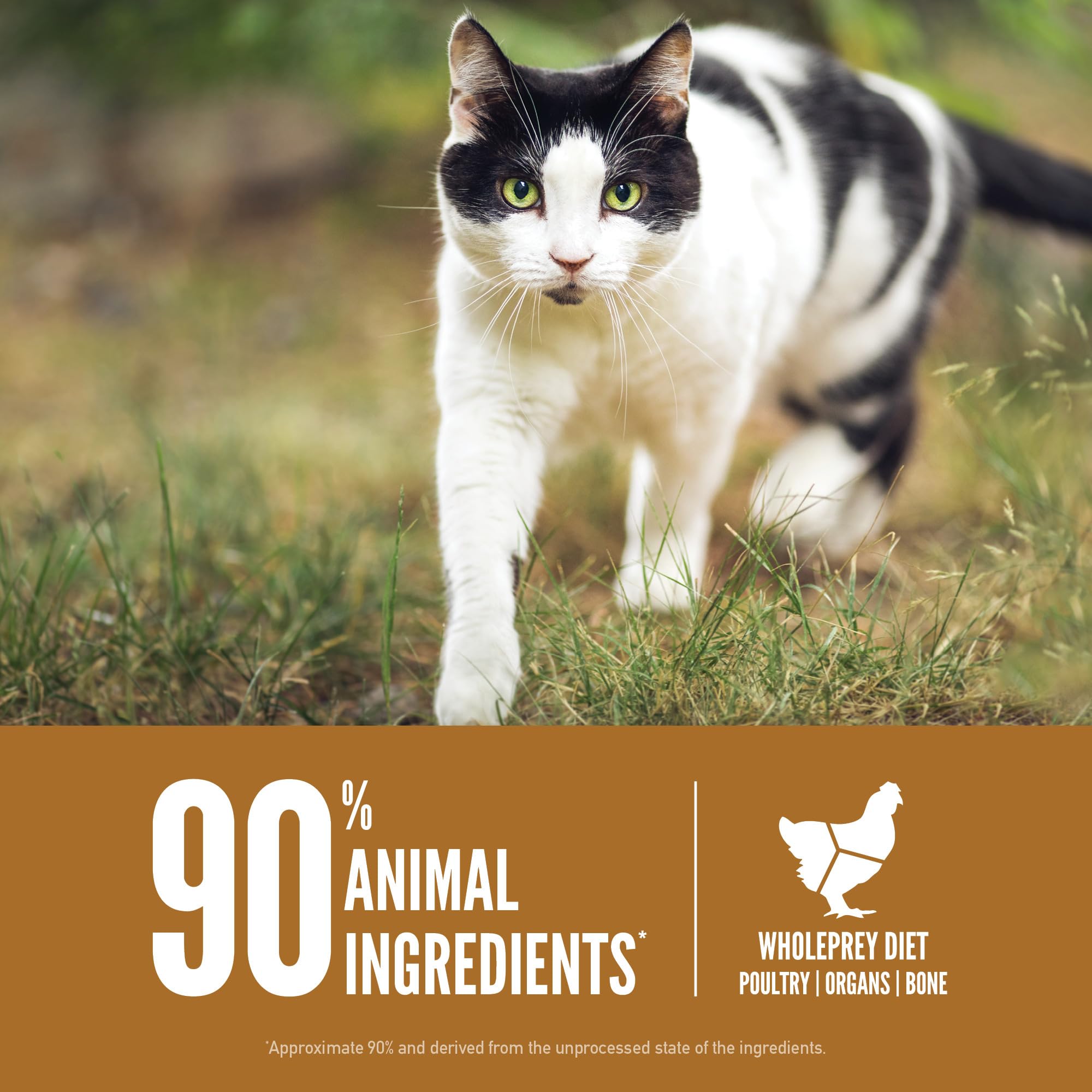 ORIJEN Original Chat: WholePrey, ingrédients prédateurs et saveur naturelle.