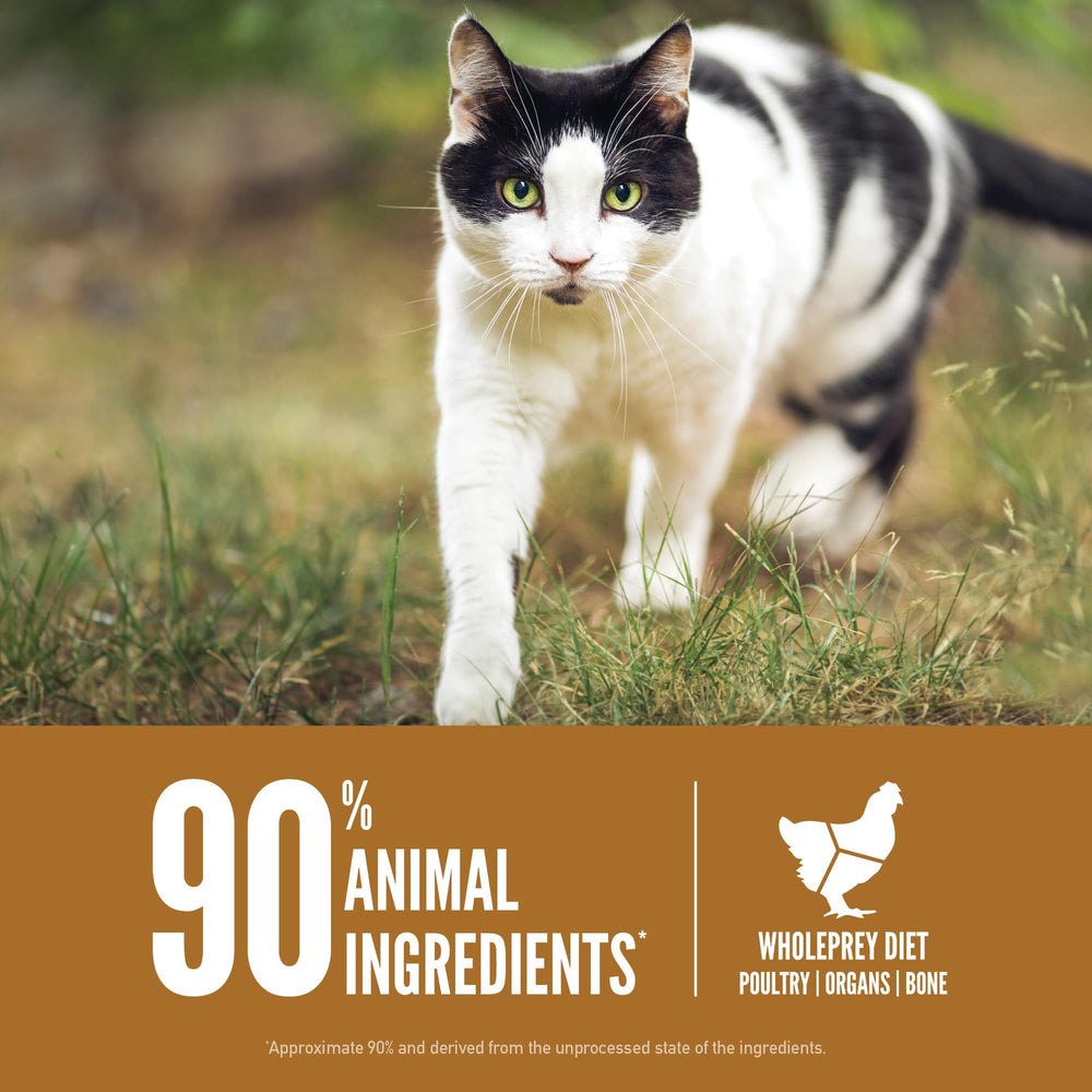 ORIJEN Original, ingrédients WholePrey complets pour une nutrition naturelle.