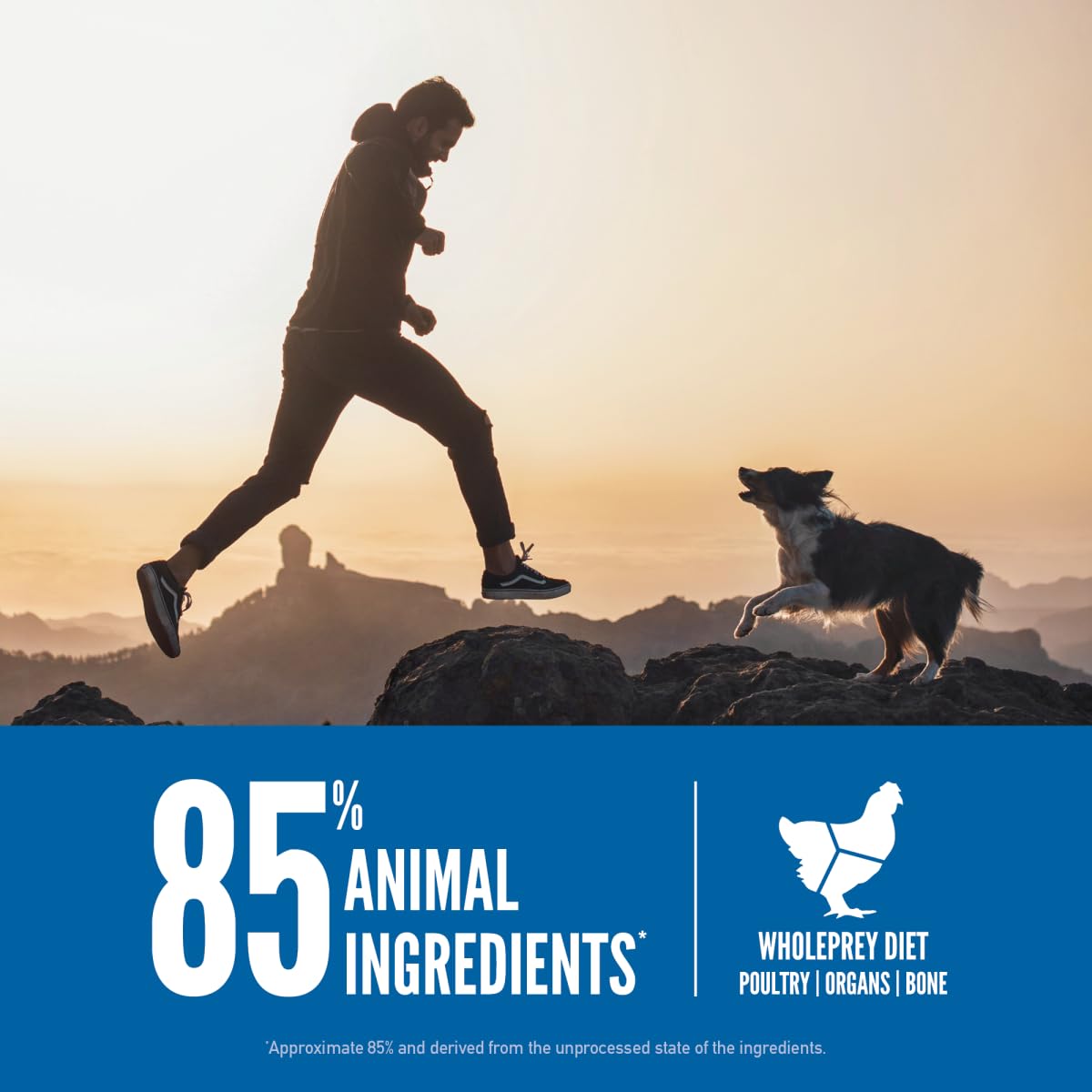 ORIJEN Original ingrédients complets incluant organes et os pour l'équilibre nutritionnel.