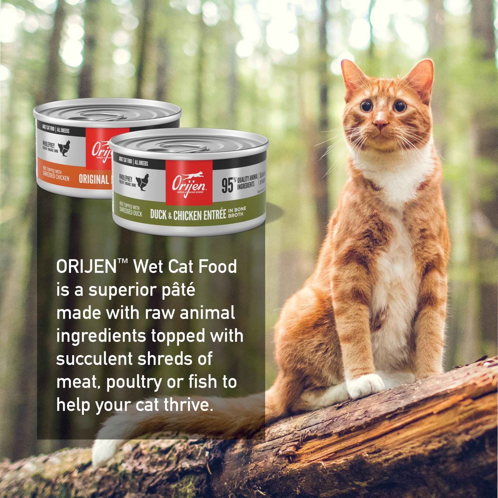 ORIJEN Pâté Sans céréales et additifs, respectueux des préférences carnivores.