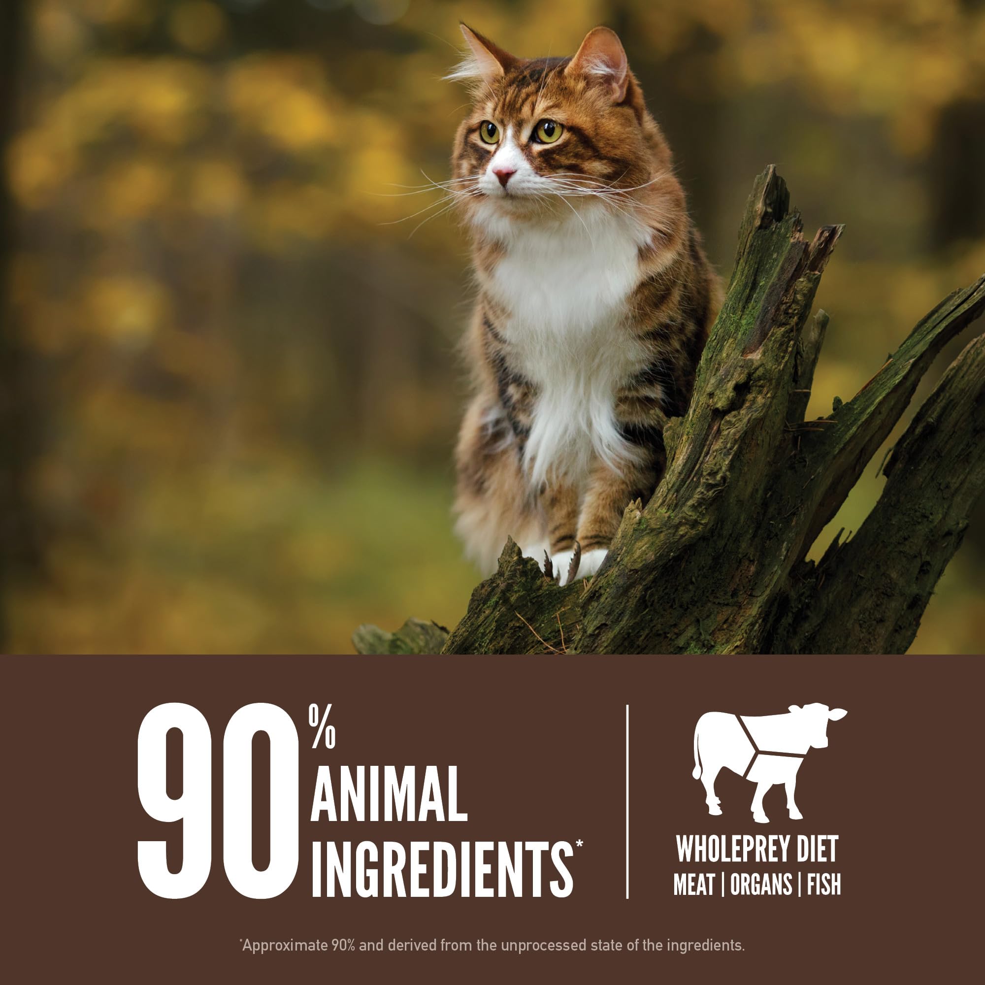 ORIJEN Regional Red, gout foie seche, appétit renforcé et saveur naturelle